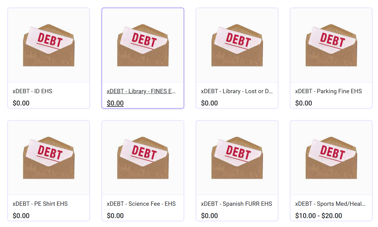 DEBT Categories Example Photo